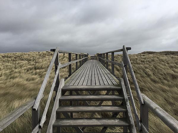 Holztreppe in den Dünen